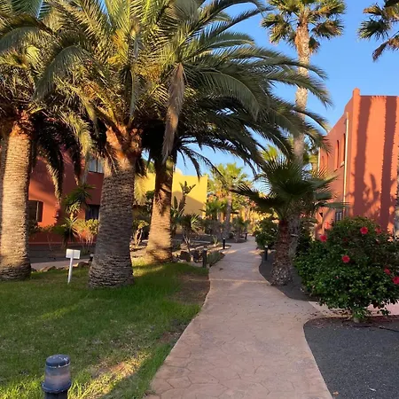 Adamsurfcom * Corralejo