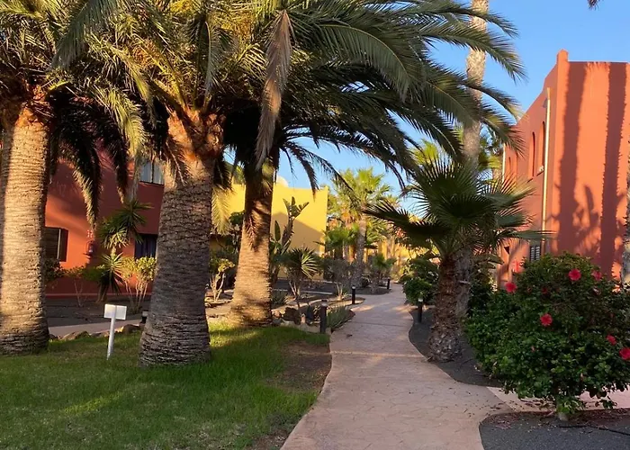 Adamsurfcom * コラレホ